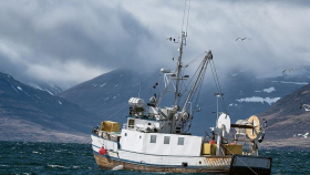 Российские учёные оценят рыбные запасы на Северном Каспии
